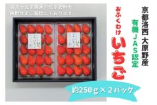 ＜予約受付＞【オーガニックnico】おふくわけいちご　＜京都洛西大原野産　有機JAS認定＞［ 京都 有機 JAS認定 オーガニック 人気 おすすめ 果物 フルーツ お取り寄せ 通販 送料無料 ふるさと納税 ］