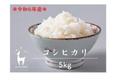 【京都ファーム】令和6年産 京都ファームのコシヒカリ 精米5kg