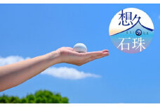 【山川製陶所】想久の石珠　石珠のみ