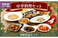 【チャイナノーヴァ】中華料理９種９品セット［ 京都 本格中華 台湾出身シェフ 人気 おすすめ 中華 中華料理 点心 お惣菜 簡単 時短 お取り寄せ 通販 送料無料 ふるさと納税 ］
