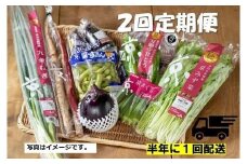 ＜２回　定期便＞【JA全農京都】半年に１回配送！季節の京野菜セット
