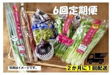 ＜6回　定期便＞【JA全農京都】２か月に１回配送！季節の京野菜セット