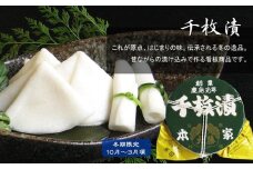 【千枚漬本家 大藤】予約受付《3/15まで》千枚漬 曲物 8号［ 京都 老舗 漬物 つけもの 漬け物 野菜 京野菜 セット 人気 おすすめ お取り寄せ 通販 送料無料 ふるさと納税 ］