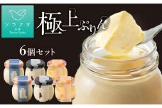 【ソラアオ】ぷりん詰め合わせセット（6個入り）［ 京都  チーズケーキ専門店 スイーツ ぷりん プリン 人気 おすすめ 洋菓子 コラボ お取り寄せ 通販 送料無料 ふるさと納税 ］
