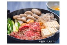 【ＪＡ全農京都・有限会社もりた】九条ねぎと京の肉すき焼きセット（２人前）