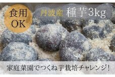 【芋家なか吉】丹波山の芋 種芋 3kg  食用でもOK/令和6年11月収穫［ 京都 芋 いも イモ 新鮮 野菜 栽培 人気 おすすめ お取り寄せ 通販 ふるさと納税 ］