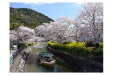 【びわ湖疏水船：三井寺便】春シーズン先行予約権（１名様分の先行予約の権利と乗船引換券）