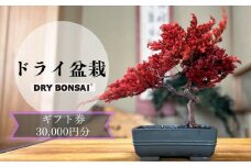【ドライ盆栽】ギフト券 30,000円分（ワークショップ・作品購入に使用可能）