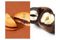 【dari K（ダリケー）】カカオサンドクッキー（ミルク）6枚入&カシューチョコ［ 京都 チョコレート カカオを通して世界を変える 人気 おすすめ ギフト プレゼント 贈答 お取り寄せ お菓子 スイーツ ］ 