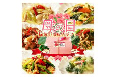 【チャイナノーヴァ】《5/6まで》母の日ギフト 緑黄野菜中華6品セット［ 京都 本格中華 台湾出身シェフ 人気 おすすめ 中華 中華料理 お惣菜 簡単 時短 お取り寄せ 通販 送料無料 ふるさと納税 ］