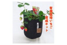 【オーガニックnico】京都洛西　有機栽培いちご育成キット【nicopo】