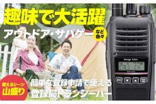 トランシーバー WED-NO-301 1台 分離イヤホン【ウェッジ】