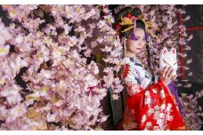 【花魁体験studioあられ】女性に大人気 京都で花魁体験チケット（1名様）