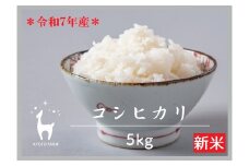 【新米先行受付】【京都ファーム】令和7年産 京都ファームのコシヒカリ 精米5kg ［ 京都 京北産 こしひかり 人気 おすすめ 米 コメ おこめ お取り寄せ 通販 送料無料 ふるさと納税 ］