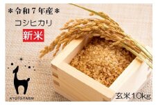 【新米先行受付】【京都ファーム】令和7年産 京都ファームのコシヒカリ 玄米10kg ［ 京都 京北産 こしひかり 人気 おすすめ 米 コメ おこめ お取り寄せ 通販 送料無料 ふるさと納税 ］