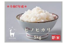 【新米先行受付】【京都ファーム】令和7年産 京都ファームのヒノヒカリ 精米5kg ［ 京都 京北産 ひのひかり 人気 おすすめ 米 コメ おこめ お取り寄せ 通販 送料無料 ふるさと納税 ］