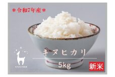 【新米先行受付】【京都ファーム】令和7年産 京都ファームのキヌヒカリ 精米5kg ［ 京都 京北産 きぬひかり 人気 おすすめ 米 コメ おこめ お取り寄せ 通販 送料無料 ふるさと納税 ］