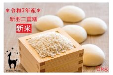【新米先行受付】【京都ファーム】令和7年産 京都ファームのもち米 新羽二重糯5kg ［ 京都 京北産 もち米 人気 おすすめ 米 コメ おこめ お取り寄せ 通販 送料無料 ふるさと納税 ］