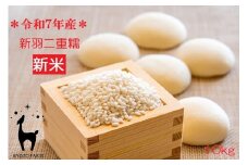 【新米先行受付】【京都ファーム】令和7年産 京都ファームのもち米 新羽二重糯10kg ［ 京都 京北産 もち米 人気 おすすめ 米 コメ おこめ お取り寄せ 通販 送料無料 ふるさと納税 ］