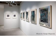 【hakari contemporary】Collectors Ticket - 30,000 JPY