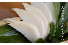 予約受付【筍農家】京都産 朝堀り 湯がき たけのこ優秀品1KG(3-5本)皮なし [ 京都 筍専門店 たけのこ 朝掘り直送 新鮮 人気 おすすめ おいしい タケノコ 季節限定 お取り寄せ 通販 送料無料 ふるさと納税 ]