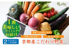 ＜2か月定期便＞2026年発送【緑のゆうき】購入された野菜の売上の1％が、社会貢献に 京都産のこだわり野菜（有機野菜、栽培期間中農薬・化学肥料不使用など）を 美味しいタイミングで収穫したセット