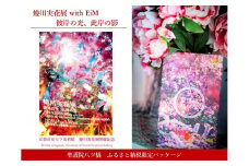 【ふるさと納税限定・蜷川実花展開催記念】京都市美術館蜷川実花展入場券＆聖護院八ツ橋限定パッケージ(24枚入り) ［ 京都 美術館 蜷川実花 関西過去最大規模 個展 限定 聖護院八ツ橋 八ツ橋 和菓子 京セラ美術館 ステッカー ふるさと納税 ］