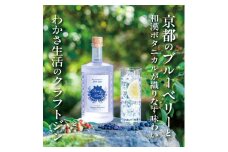 【わかさ生活】ブルーベリードライジン「Berry&Berry」700ml×1本 アルコール度数45度［ 京都 サプリ ブルーベリーアイ 売上No.1 人気 おすすめ お酒 酒 アルコール ジン 健康 お取り寄せ 通販 ふるさと納税 ］