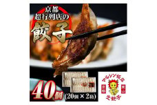 【マルシン飯店】京都・超行列店の熟成豚肉餃子40個入り(20個×2箱)｜京都東山 超人気中華 看板餃子［ 京都 中華 行列店 人気店 こだわり餃子 熟成豚肉 手作り 国産 グルメ おすすめ ぎょうざ 点心 お惣菜 お取り寄せ 通販 送料無料 ふるさと納税 ］