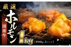 【エスイー】厳選国産牛ホルモン200ｇ×5パック 計1kg[ 京都 食肉卸 自慢の肉質 ホルモン もつ 大容量 小分け 人気 おすすめ 肉 お肉 牛肉 もつ鍋 焼肉 お取り寄せ 通販 送料無料 ギフト ふるさと納税 ]