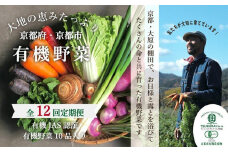 ◆全12回定期便◆【つくだ農園】《有機JAS認証 有機野菜10品入り》京都の棚田大原で心を込めて大切に露地栽培された大地の恵みたっぷりの有機野菜!［ 有機野菜 京都 野菜 有機栽培 定期便 セット 季節の野菜 おまかせ 詰め合わせ 産地直送 新鮮 ミシュラン 錦市場 人気 送料無料 おすすめ ふるさと納税 ］