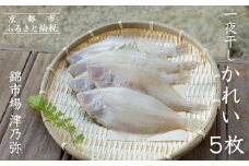 【津乃弥】一夜干しかれいセット(5枚)［ 京都 錦市場 海鮮珍味専門店 カレイ 干物 人気 おすすめ 海鮮 珍味 肴 惣菜 お取り寄せ 通販 送料無料 ふるさと納税 ］