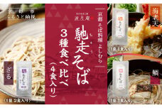 【京都・嵐山 そば料理 よしむら】渡月庵 馳走そば3種食べ比べ(4食入り)［ 京都 そば 有名店 ざるそば 海老天そば 鯛そば 食べ比べ セット 利尻昆布 出汁 人気 おすすめ 和食 蕎麦 簡単 便利 グルメ ギフト プレゼント お取り寄せ 通販 送料無料 ふるさと納税 ］