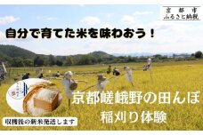 《9/7(日)予定/京都嵯峨野》 田んぼで稲刈り体験【アドプランツコーポレーション】［ 京都 米 収穫 稲刈り体験 田植え 体験 人気 おすすめ 嵯峨野 有機栽培 ふるさと納税 ］