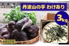 【芋家なか吉】丹波山の芋 わけあり 3キロ ［ 京都 山の芋専門店 職人 とろろ 芋 いも イモ 野菜 3kg 不揃い 事業者応援品 応援 人気 おすすめ お取り寄せ 通販 送料無料 ふるさと納税 ］