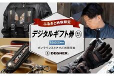 【デグナー】ふるさと納税限定 後から選べる！ デジタルギフト券 60,000円分(バイク バイクギア バイク用品 バイクグッズ)［ 京都 バイクギア ブランド 電子チケット 割引クーポン 割引券 人気 おすすめ 革 レザー ツーリング ライダー バイカー バイク メーカー ギア パーツ 送料無料 ふるさと納税 ]