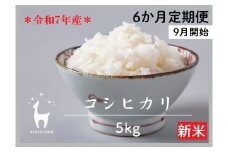 【新米先行受付～8/31】〈6か月定期便〉令和7年産京都ファームのコシヒカリ 精米 毎月5kg×6回(9月～2月)［ 京都 京北産 コシヒカリ 新米 精米 おいしい 人気 おすすめ 米 コメ コシヒカリ お取り寄せ 通販 送料無料 ふるさと納税 ］
