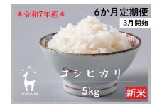 〈6か月定期便〉令和7年産京都ファームのコシヒカリ 精米 毎月5kg×6回(2026年3月～8月)［ 京都 京北産 コシヒカリ 新米 精米 おいしい 人気 おすすめ 米 コメ コシヒカリ お取り寄せ 通販 送料無料 ふるさと納税 ］