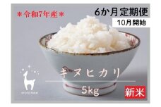 【新米先行受付～9/30】〈6か月定期便〉【京都ファーム】令和7年産 京都ファームのキヌヒカリ 精米 毎月5kg×6回［ 京都 京北産 きぬひかり 新米 精米 おいしい 人気 おすすめ 米 コメ お取り寄せ 通販 送料無料 ふるさと納税 ］