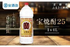 【タカラ】宝焼酎25°4L×1本 エコペットN｜焼酎 宝焼酎 本格焼酎 ［ 京都 タカラ 焼酎 大容量 4L 人気 おすすめ お酒 焼酎 酎ハイ サワー カクテル 晩酌 日常使い ご自宅用 ギフト プレゼント お取り寄せ 通販 送料無料 ふるさと納税 ］