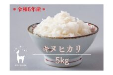 【京都ファーム】令和6年産 京都ファームのキヌヒカリ 精米５kg