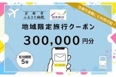 京都府京都市日本旅行地域限定旅行クーポン300,000円分（Eメール発行）(ホテル、旅館、宿泊)［ 京都 旅行 クーポン ホテル 旅館 宿泊 観光 グルメ 人気 おすすめ ふるさと納税 ］