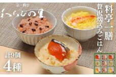 【わらびの里】料亭一膳(4種)［ 京都 料亭 京料理 懐石 人気 おすすめ 炊込みご飯 赤飯 おこわ お取り寄せ 通販 送料無料 ふるさと納税 ］