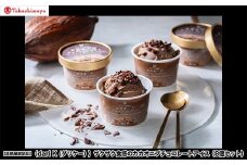 【高島屋選定品】＜dari K(ダリケー）＞ザクザク食感のカカオニブチョコレートアイス（8個セット）［ 京都 チョコレート カカオを通して世界を変える 濃厚 チョコ アイス 人気 おすすめ お菓子 洋菓子 スイーツ ギフト プレゼント お取り寄せ 通販 送料無料 ふるさと納税 ］