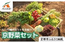 【エーコープ京都中央】おまかせ京野菜セット［ 京都 野菜 新鮮 人気 おすすめ 美味しい 旬の野菜 上賀茂野菜 スタッフ厳選 詰め合わせ お取り寄せ 通販 送料無料 ふるさと納税 ］