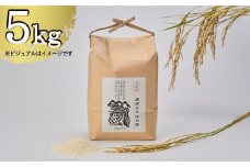 【京都岩倉坂原米作りプロジェクト】〈新米〉京都岩倉さかばら産 きぬひかり(5kg)［ 京都 グルメ おいしい 人気 おすすめ 米 コメ ギフト プレゼント 贈答 お取り寄せ 通販 送料無料 ふるさと納税 ］