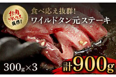 肉ソムリエ監修!ワイルドタン元ステーキ　300g×3パック  ふるさと納税 タン ステーキ 肉 お肉 人気 詰め合わせ 京都府 福知山市