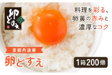 ＜京都丹波産＞『卵どすえ』1箱（200個）  ふるさと納税 卵 玉子 たまご 生卵 タマゴ 温泉卵 卵かけご飯 TKG 卵料理 お菓子づくり オムライス プリン 弁当 国産 京都 福知山 京都府 福知山市　奥京都 ふるさと