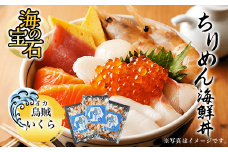 海の宝石　ちりめん海鮮丼<イカいくら>  ふるさと納税 海鮮 海鮮丼 イカ いか いくら イクラ 京都府 福知山市