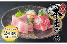 天然 本まぐろ 赤身＆トロ身 二種盛り 解凍レシピ付  ふるさと納税 まぐろ マグロ 鮪 本マグロ 赤身 天然 冷凍 京都府 福知山市